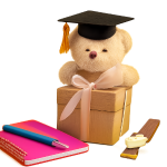 کادوهای فانتزی و تزئینی دانشجویی