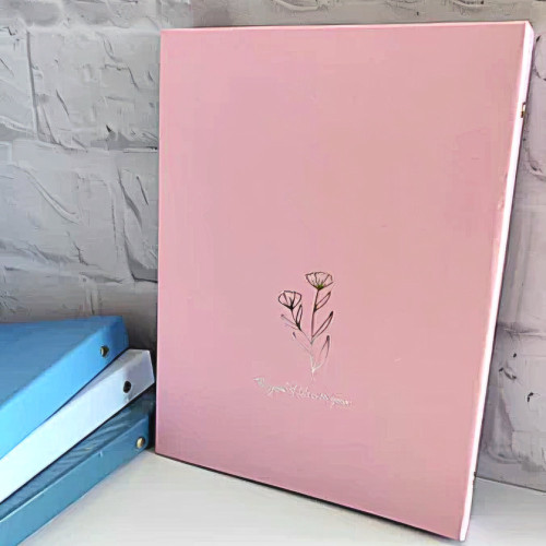 کلاسور سایز A4 پاستلی نقره کوب